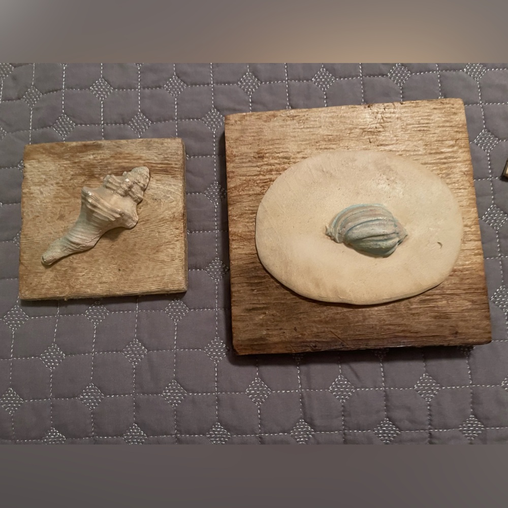 Set of 2 ocean shells rustic frames
